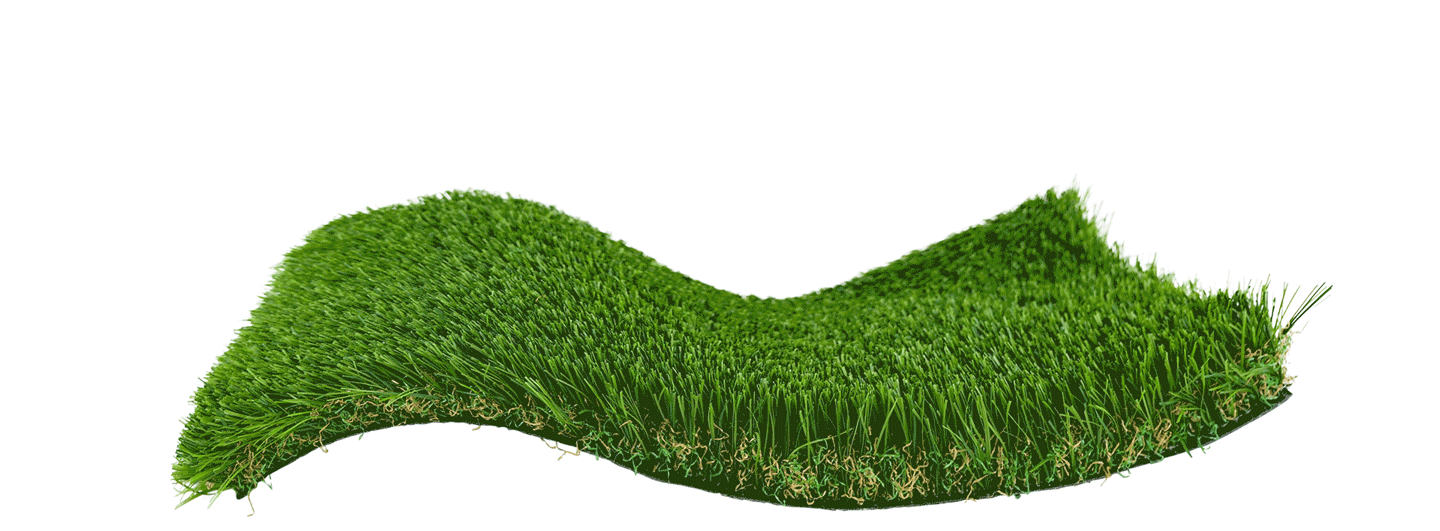wave of grass